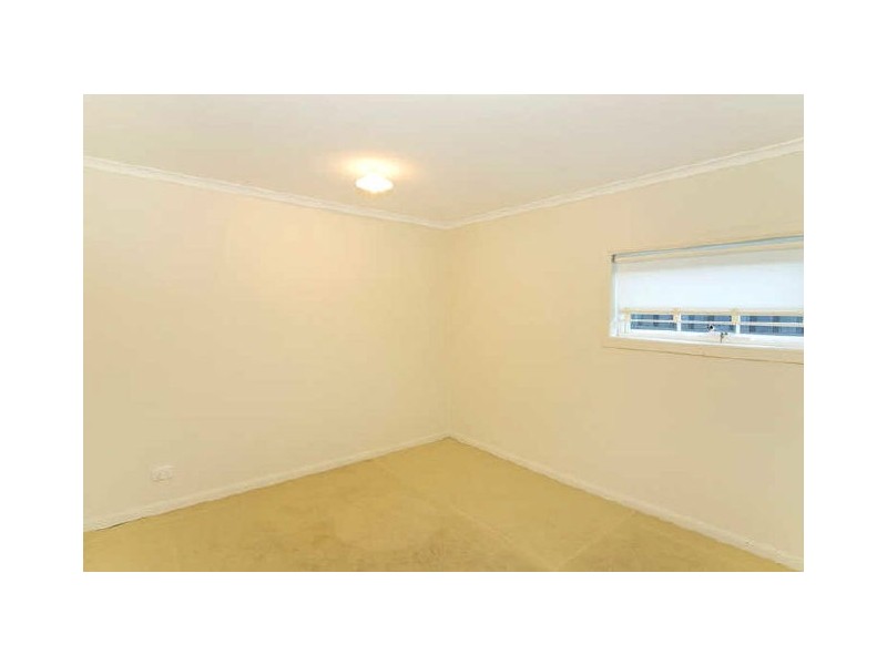 3b Wyberba St, Tugun QLD 4224