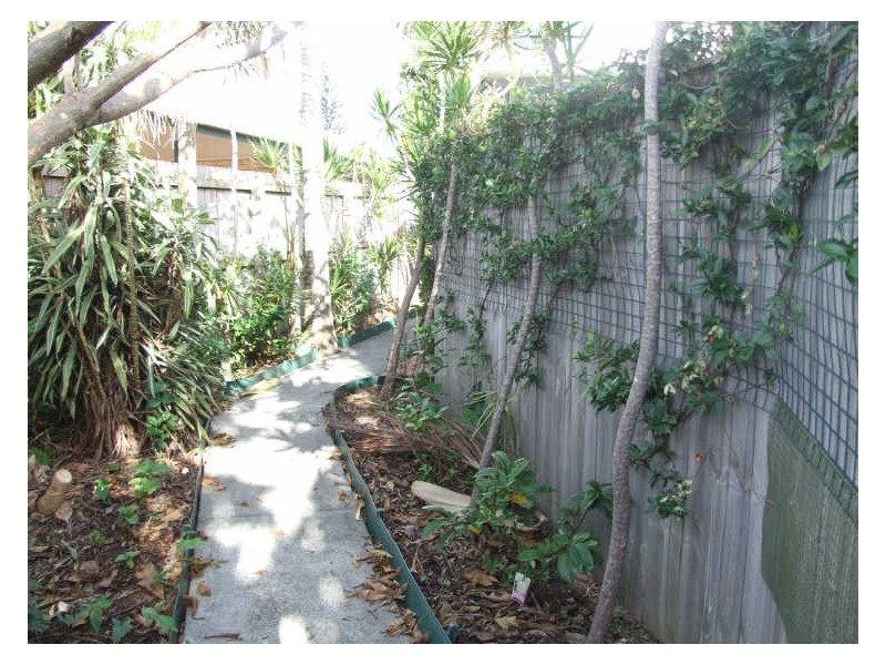 28 West Wyberba Street, Tugun QLD 4224