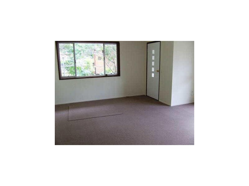 6 Cabarita Crt, Tugun QLD 4224