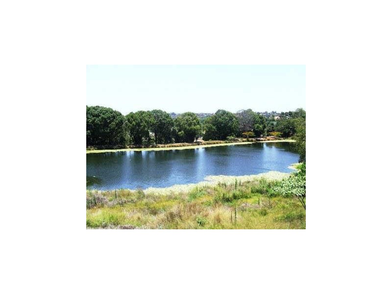 84 Ash Drive, Banora Point NSW 2486