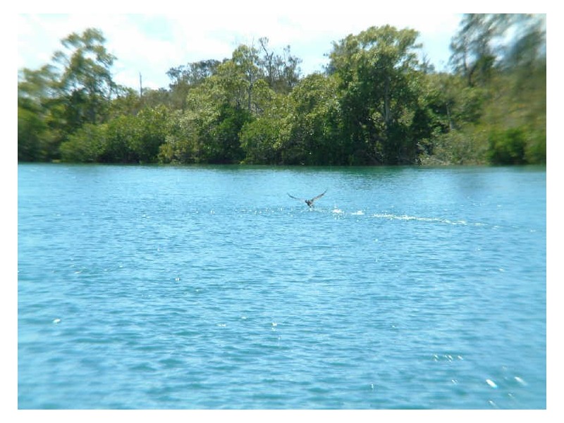 73 Sunset Boulevarde, Tweed Heads West NSW 2485