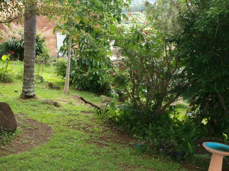 2/11 Coolabah, Banora Point NSW 2486