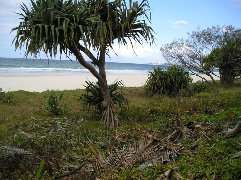 7/393 Golden Four Drive, Tugun QLD 4224