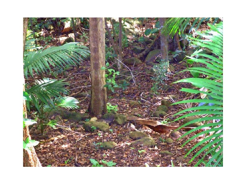 40 Amaroo Drive, Banora Point NSW 2486