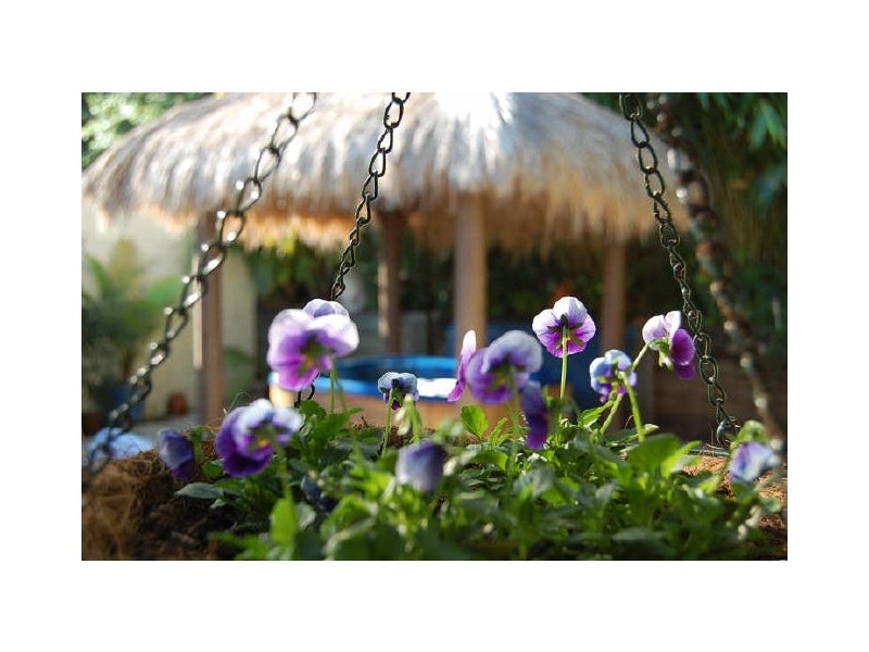 3 Lalina Avenue, Tweed Heads West NSW 2485