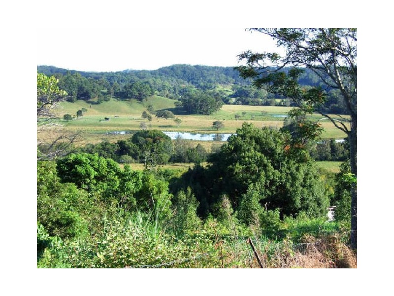 16 Camphor Laurel Road, Cobaki NSW 2486