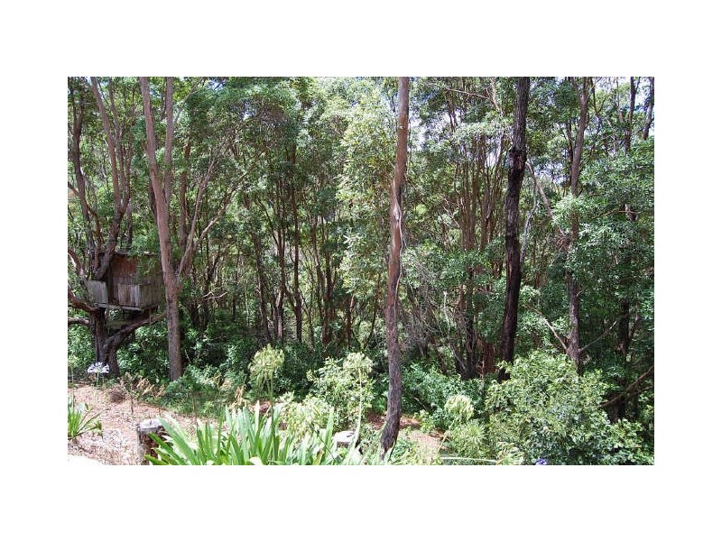 475 Tallebudgera Connection Rd, Tallebudgera QLD 4228