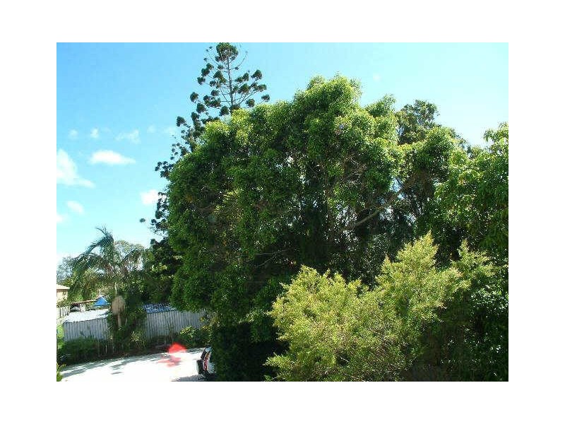 8/181 Kennedy Drive, Tweed Heads West NSW 2485