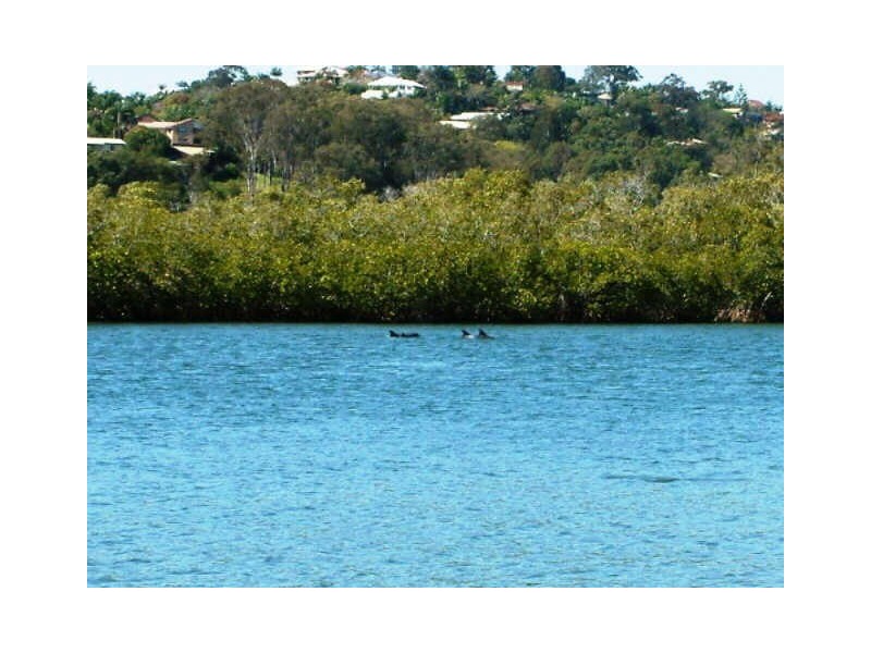 8/181 Kennedy Drive, Tweed Heads West NSW 2485