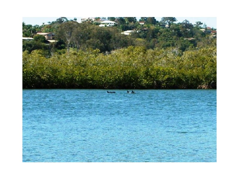 9 Jacaranda Avenue, Tweed Heads NSW 2485
