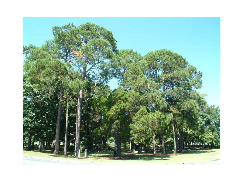 10 Wren Court, Tweed Heads NSW 2485