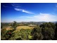 4 Owenia Cct, Bilambil Heights NSW 2486
