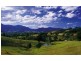 12 Coodgie St, Tyalgum NSW 2484
