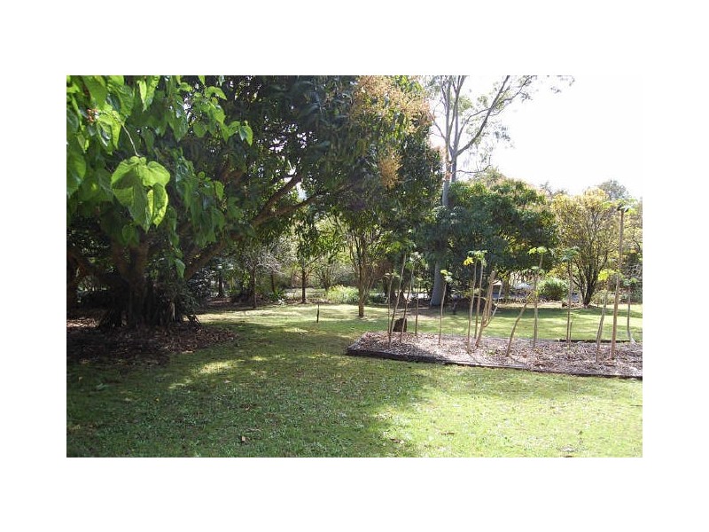 Terranora NSW 2486