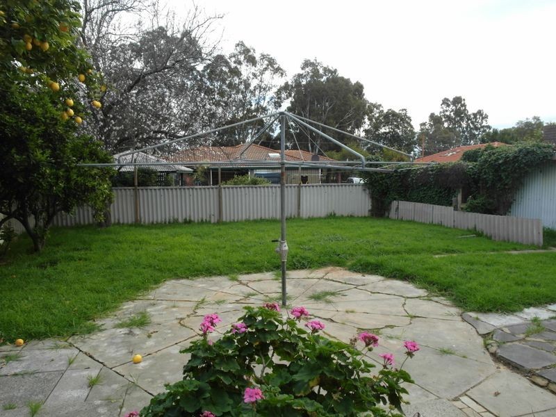 3 Conifer Street, Maddington WA 6109