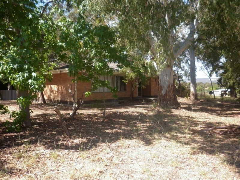 38 Homestead Road, Gosnells WA 6110