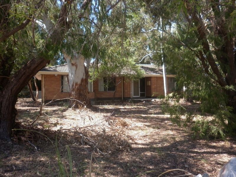 38 Homestead Road, Gosnells WA 6110