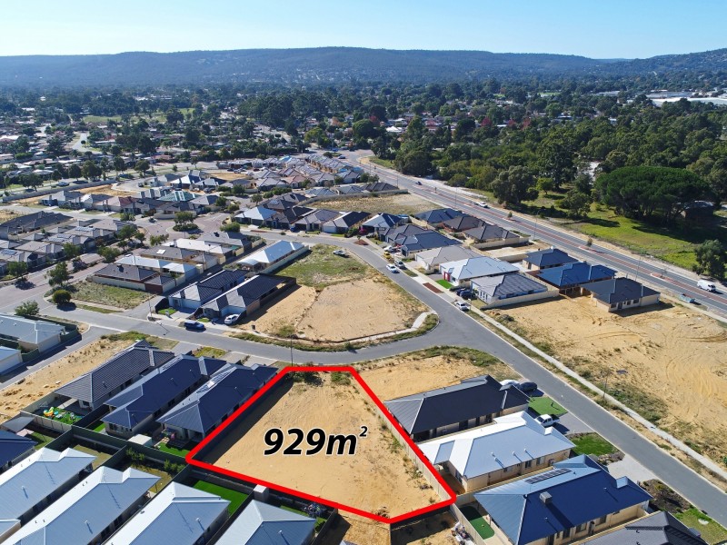 11 Oncidium Way, Seville Grove WA 6112