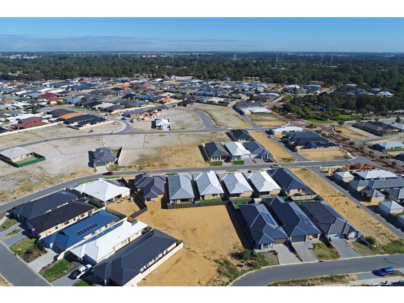 11 Oncidium Way, Seville Grove WA 6112