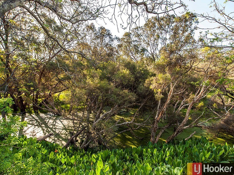 37 Riverbank Drive, Gosnells WA 6110