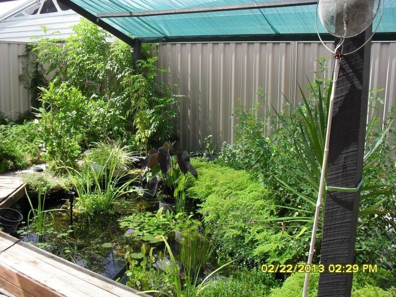 8 Heather Street, Gosnells WA 6110