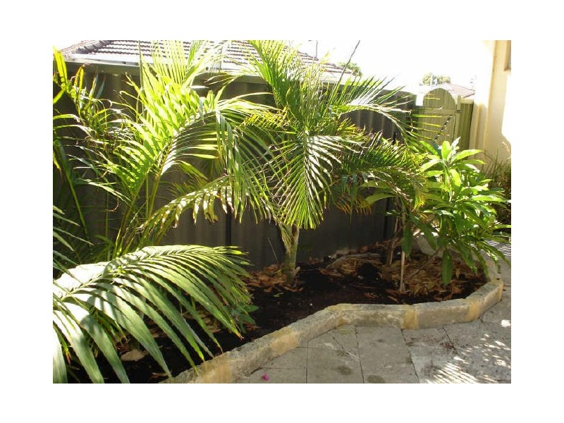 22 Thomas Street, East Cannington WA 6107