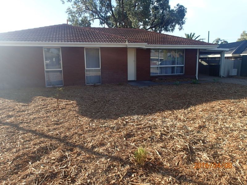 104 Milina, Hillman WA 6168