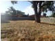 104 Milina, Hillman WA 6168