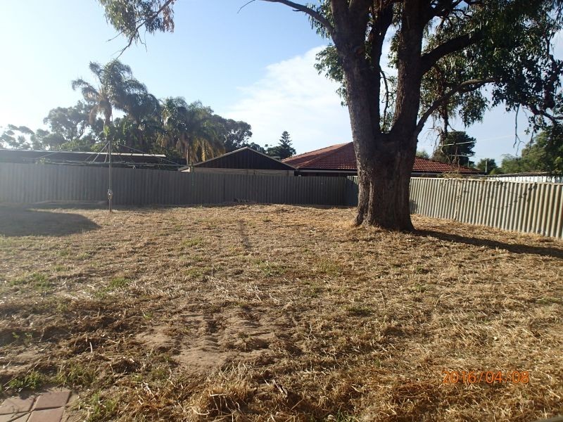 104 Milina, Hillman WA 6168