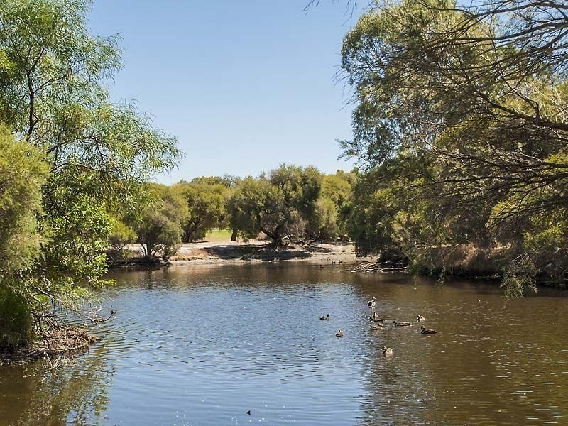 19A Nullagine Way, Gosnells WA 6110