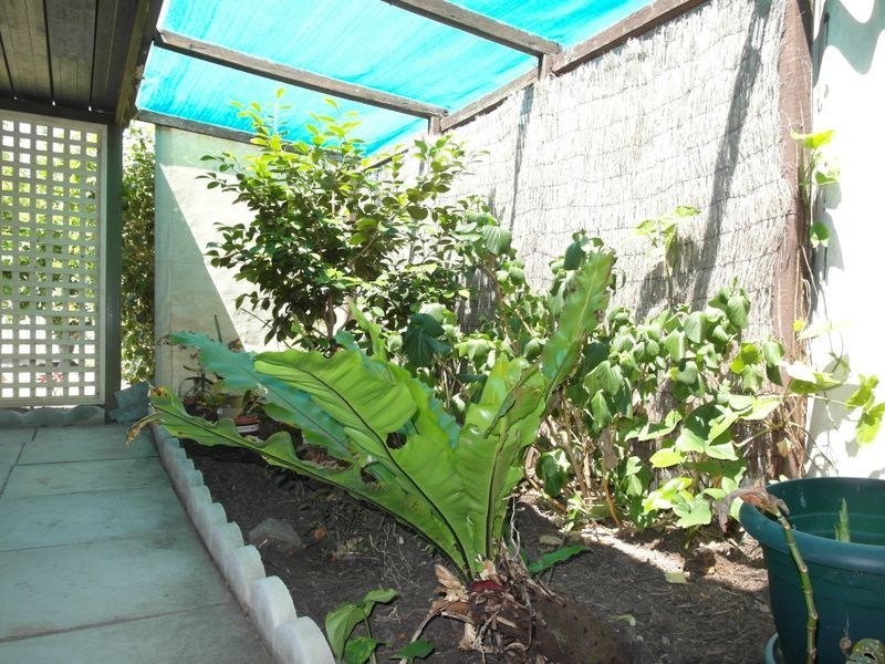 12 Coachwood Way, Maddington WA 6109