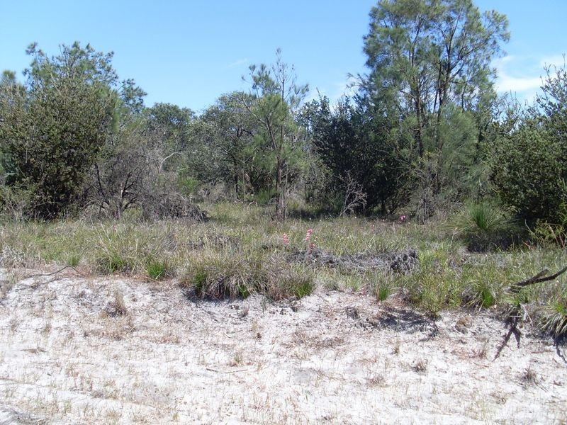 23 Matison Street, Southern River WA 6110