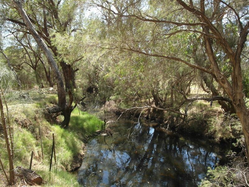 35 Lockhart Place, Gosnells WA 6110