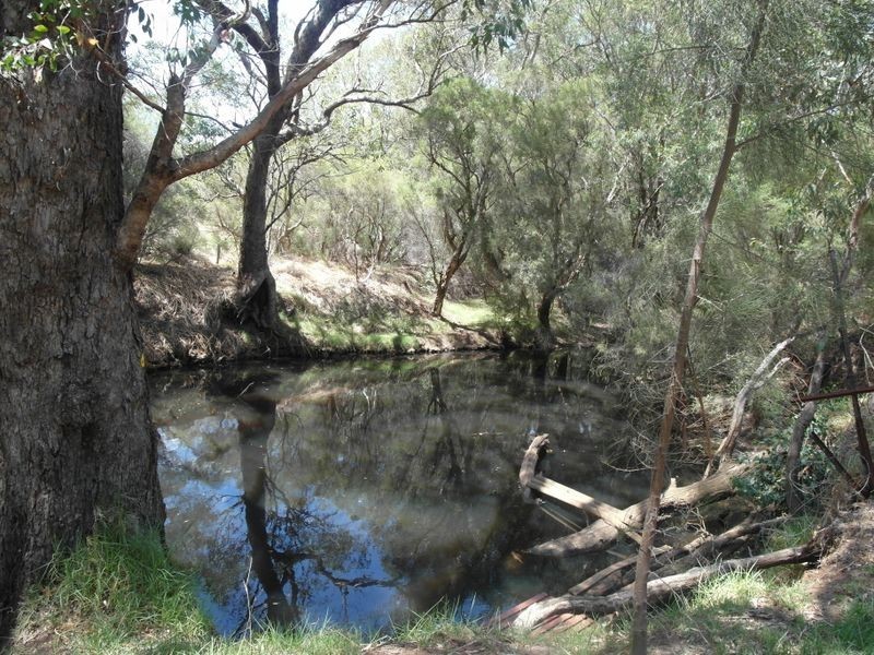 35 Lockhart Place, Gosnells WA 6110