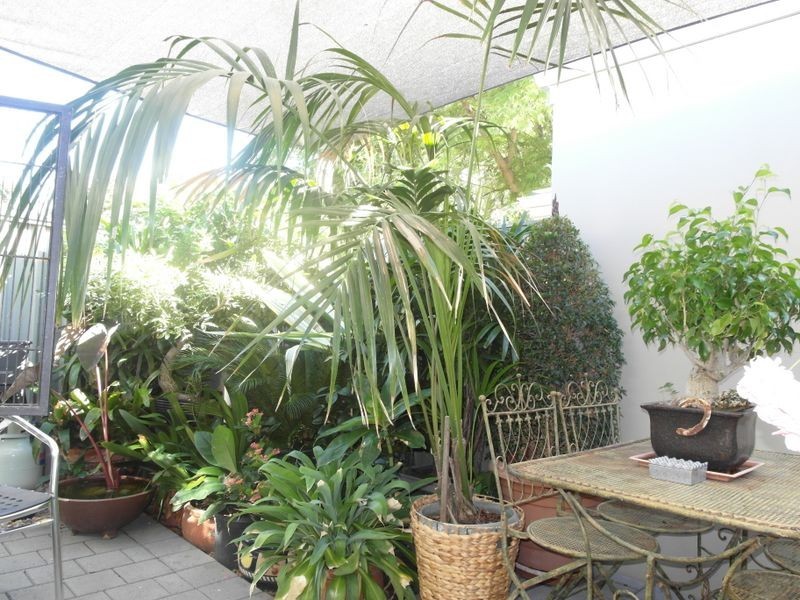 13 Walter Street, Gosnells WA 6110