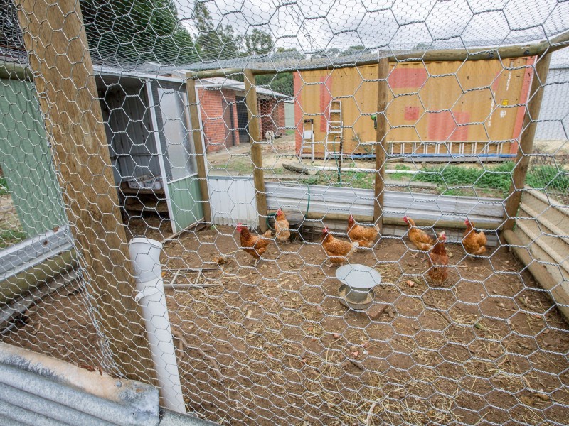 59 Fifth Street, Harvey WA 6220