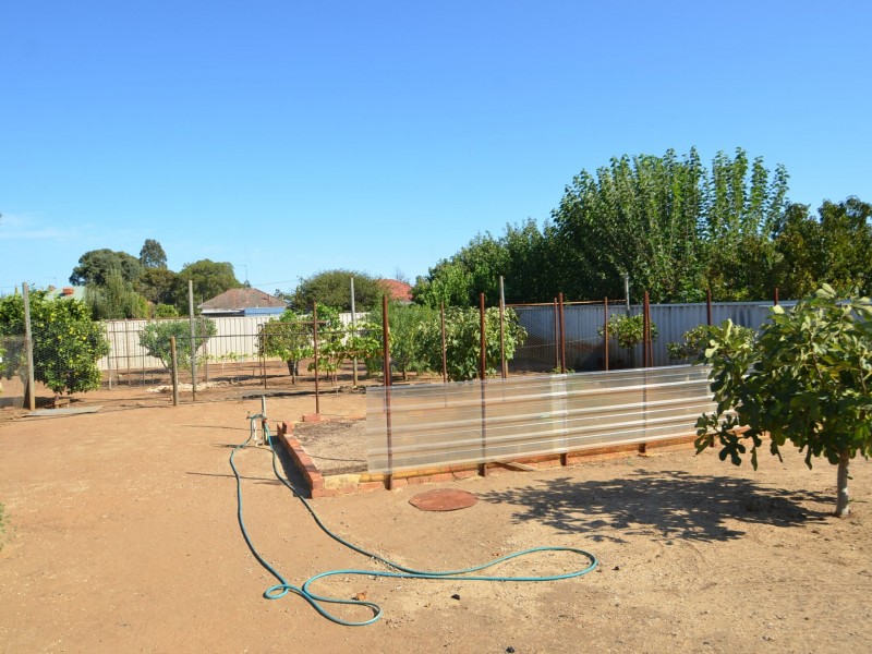 3 Baker Street, Harvey WA 6220