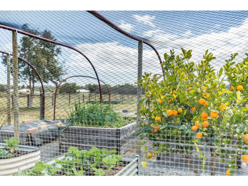 64 Thornton Drive, Uduc WA 6220