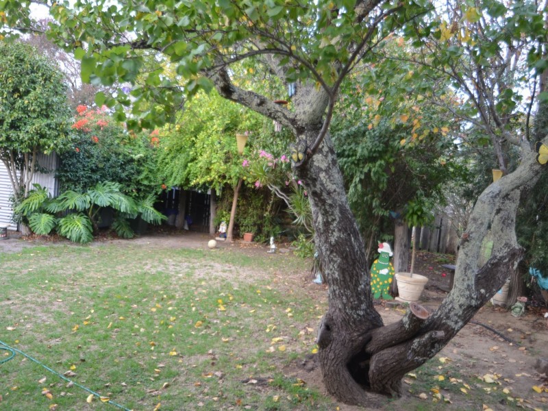 11 Grieves Street, Harvey WA 6220