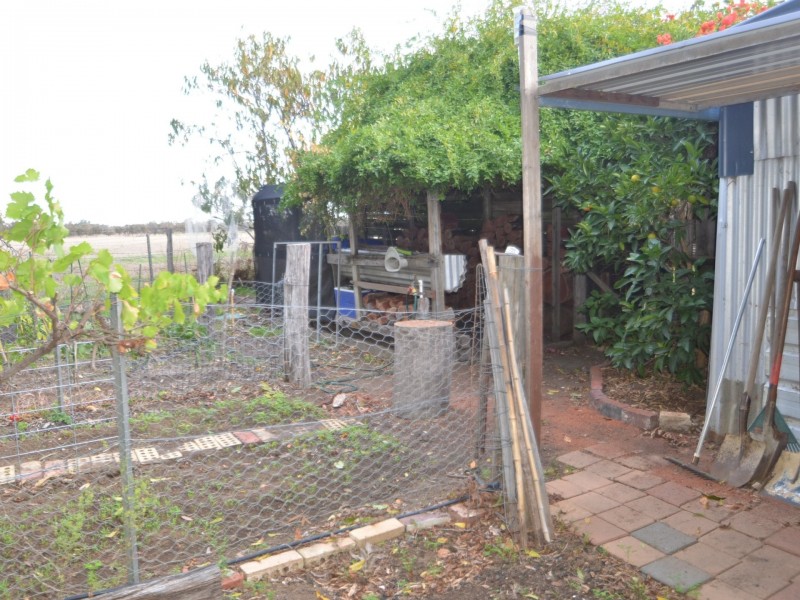 11 Grieves Street, Harvey WA 6220