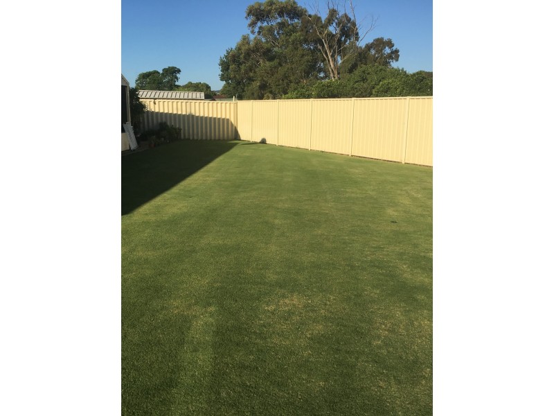 12 Stanford Court, Harvey WA 6220