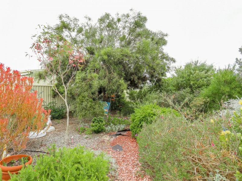 19 Tomba Way, Harvey WA 6220