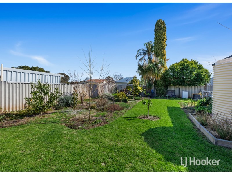 16 Palmer Street, Harvey WA 6220