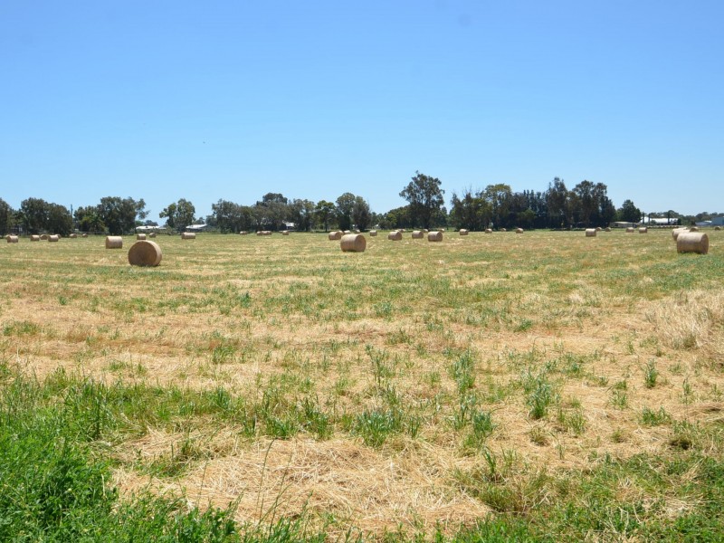 lot 165 Ninth Street, Harvey WA 6220