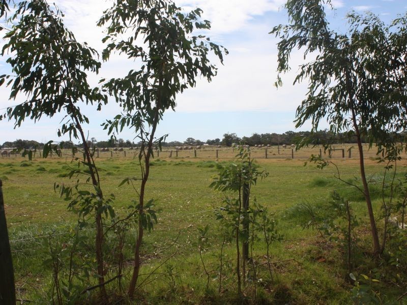 429 Uduc Road, Harvey WA 6220