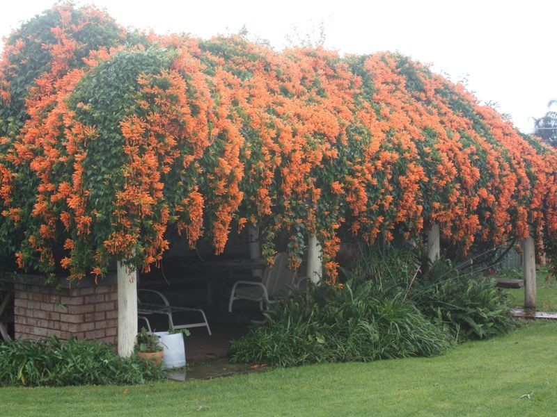 14 Lyons Way, Harvey WA 6220