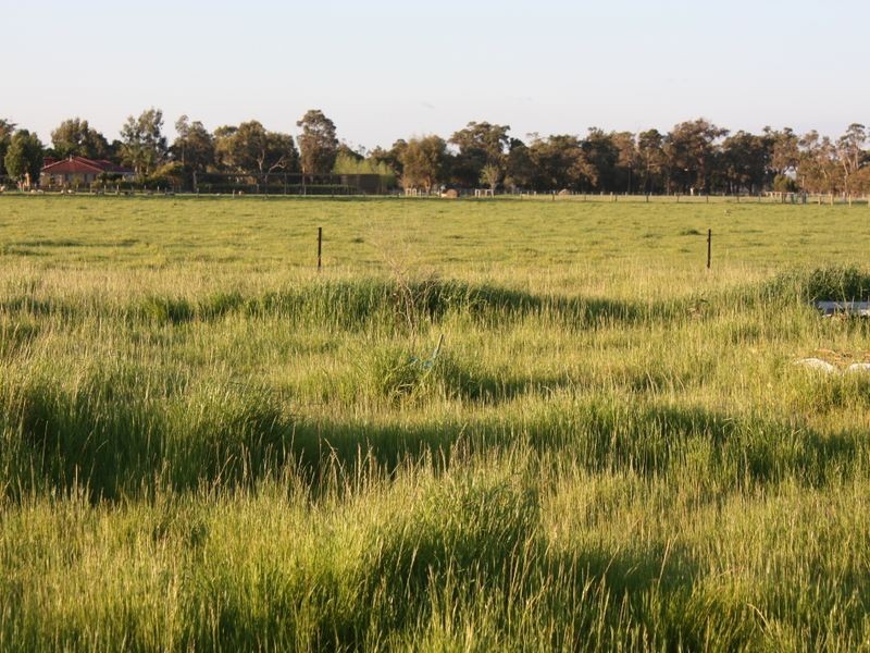 Lot 65 Hayward Street, Cookernup WA 6220