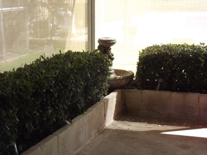 3 Butcherbird Road, Harvey WA 6220