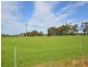 343 Herbert Road, Harvey WA 6220