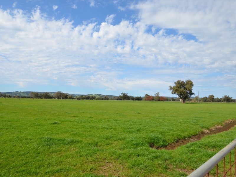 343 Herbert Road, Harvey WA 6220